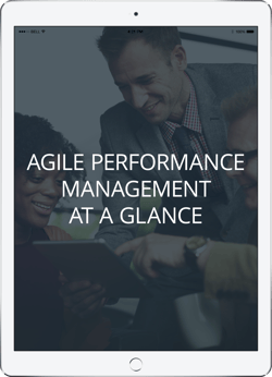 Agile-Performance-Management-Static.png