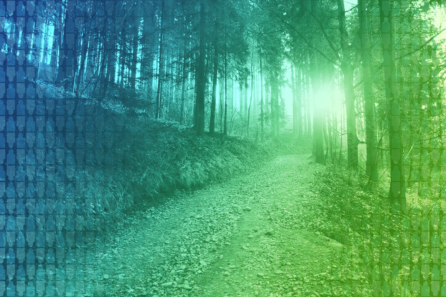 color-treated image of path leading upwards through the woods