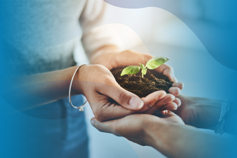 Environmental sustainability concept. Closeup of hands holding a plant.