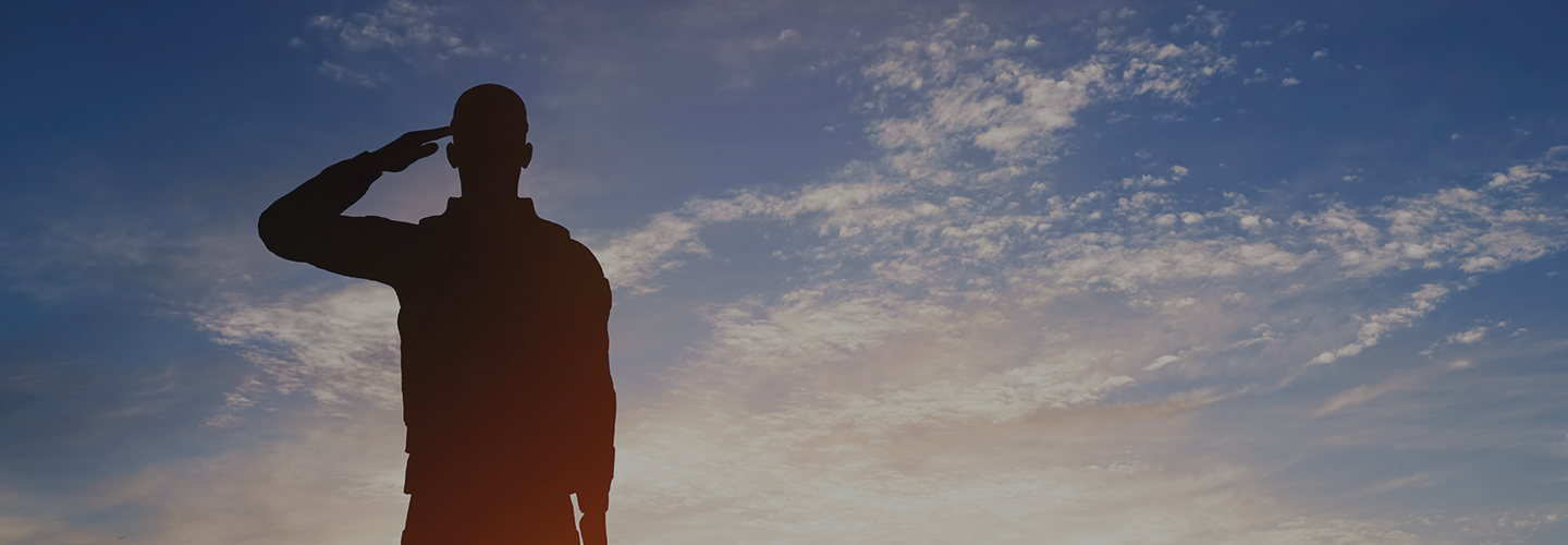 Silhouette of soldier saluting