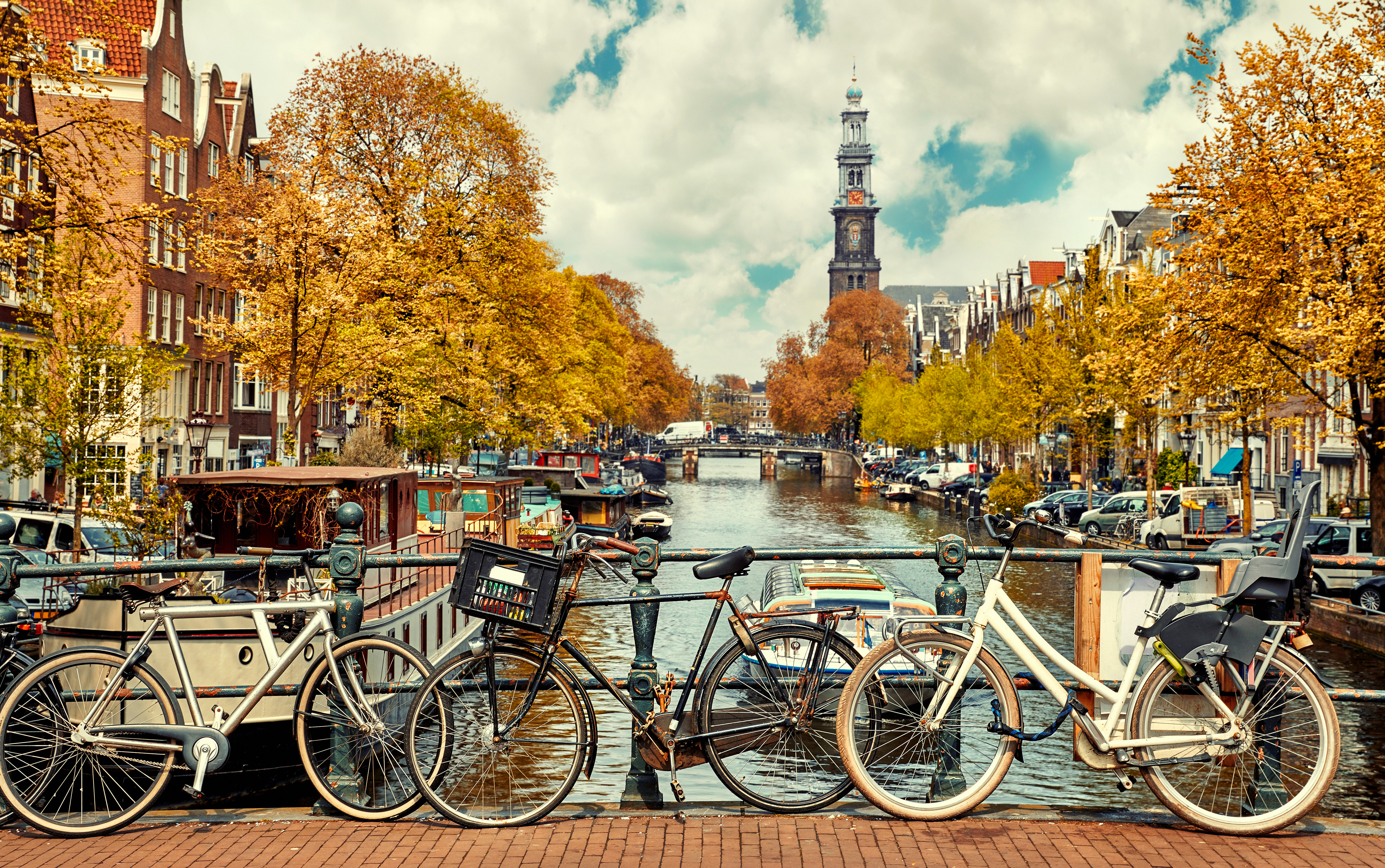 shutterstock_797232592 shutterstock_797232592